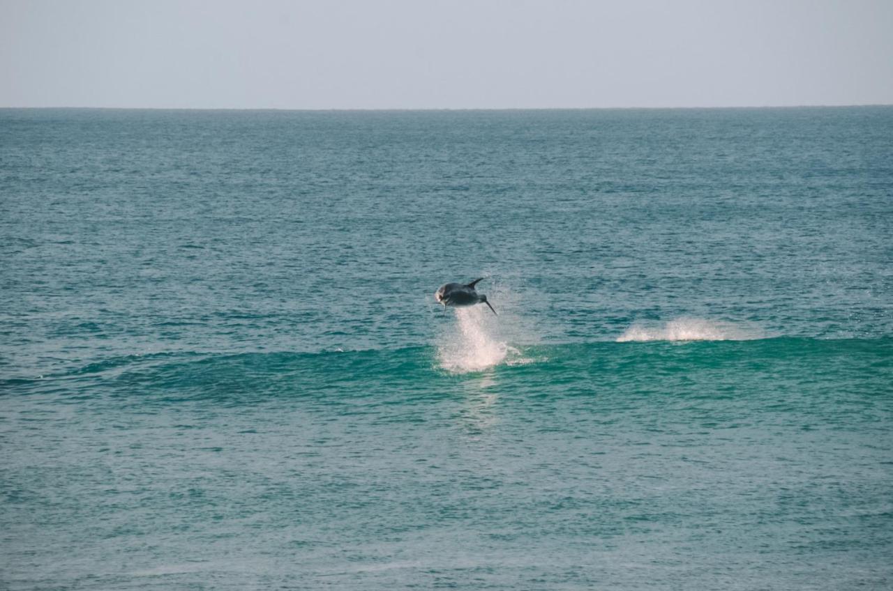 Отель Aotearoa Surf Eco Pods Te Arai Экстерьер фото